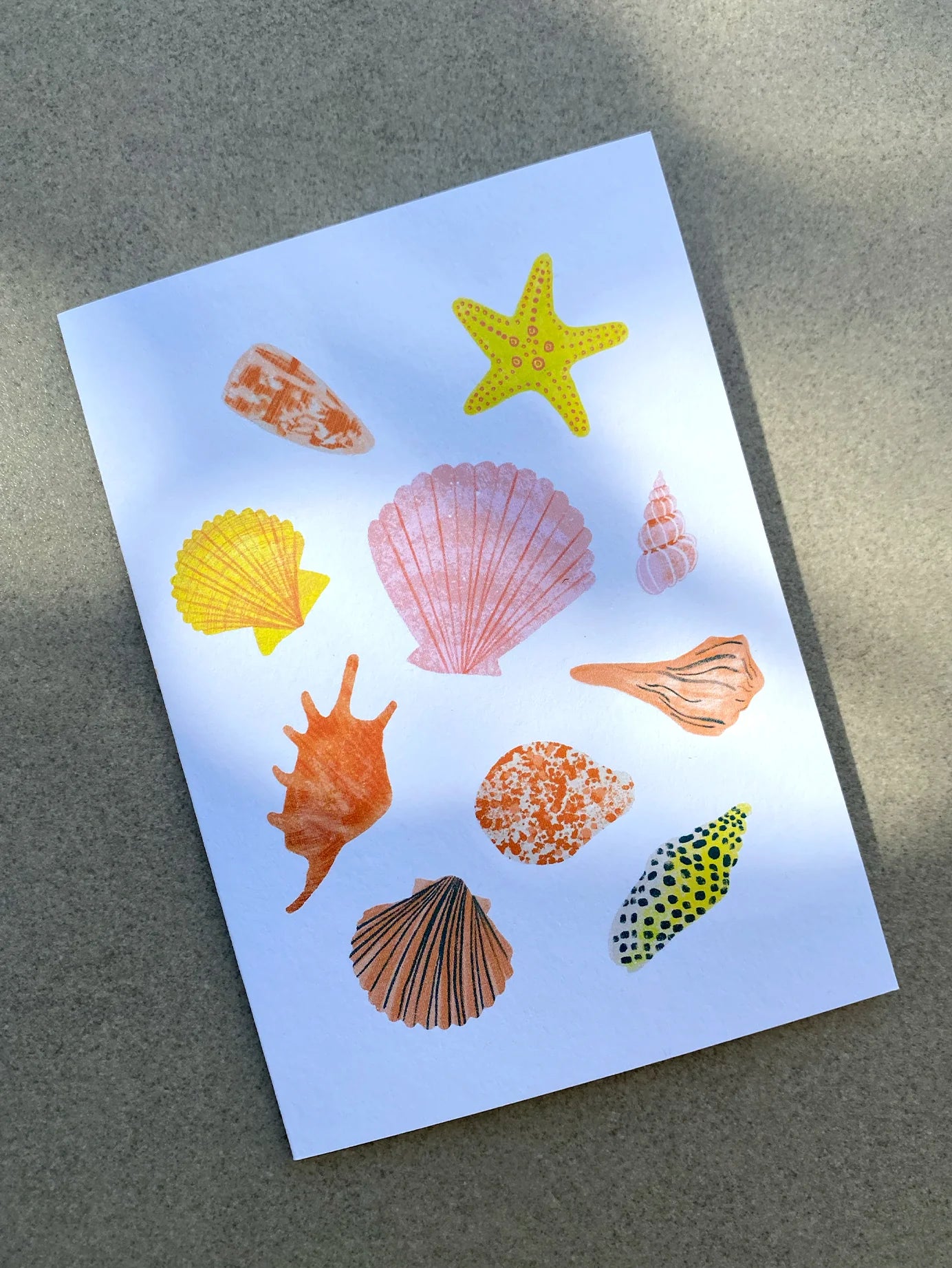 Seashells Greetings Card