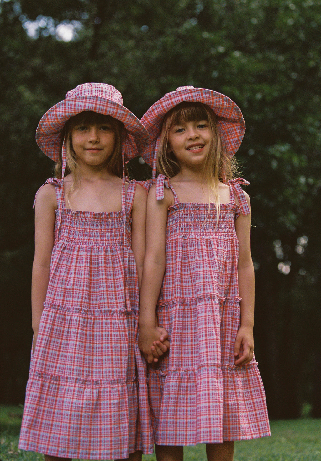 Belle Dress Picnic Check
