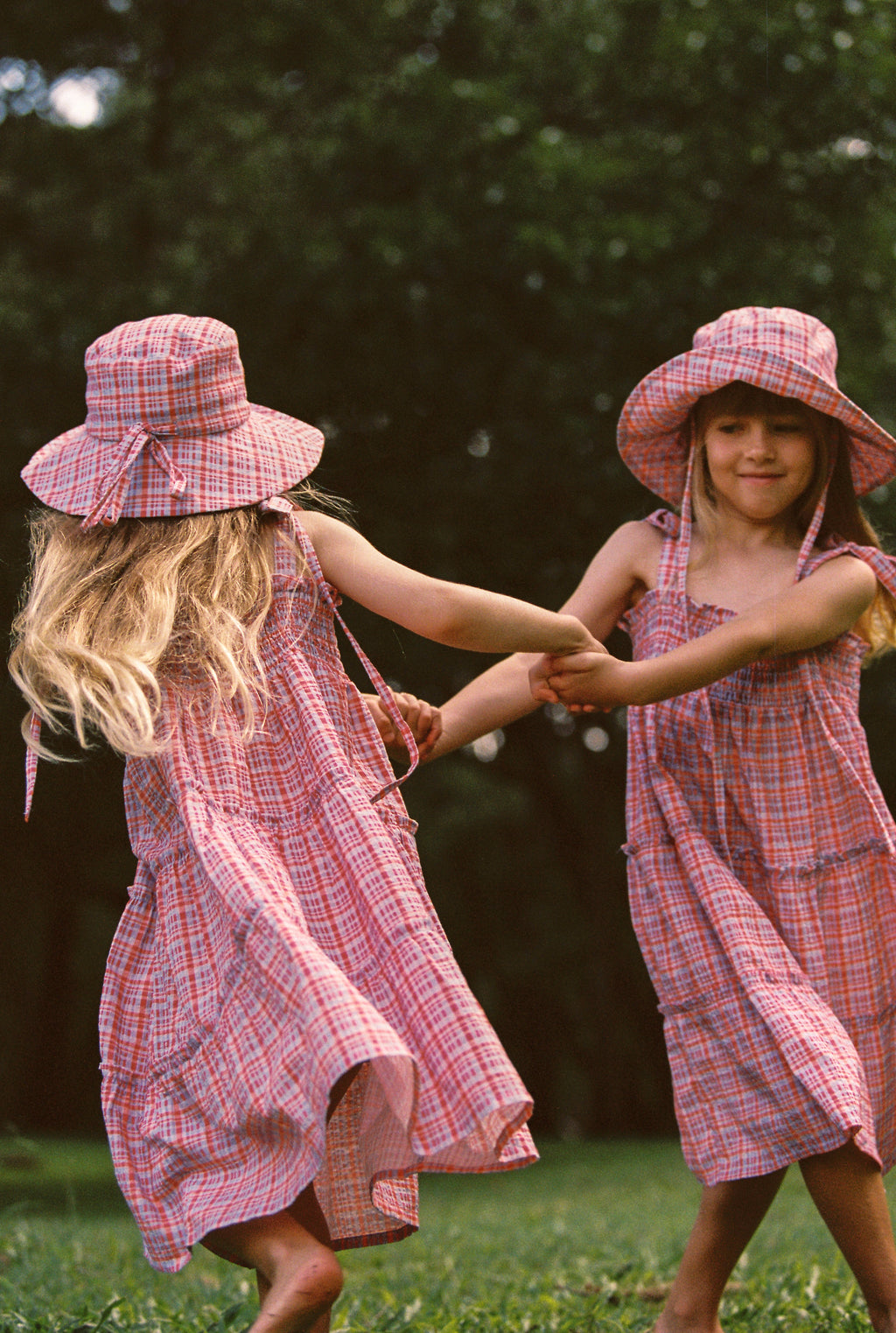 Belle Dress Picnic Check