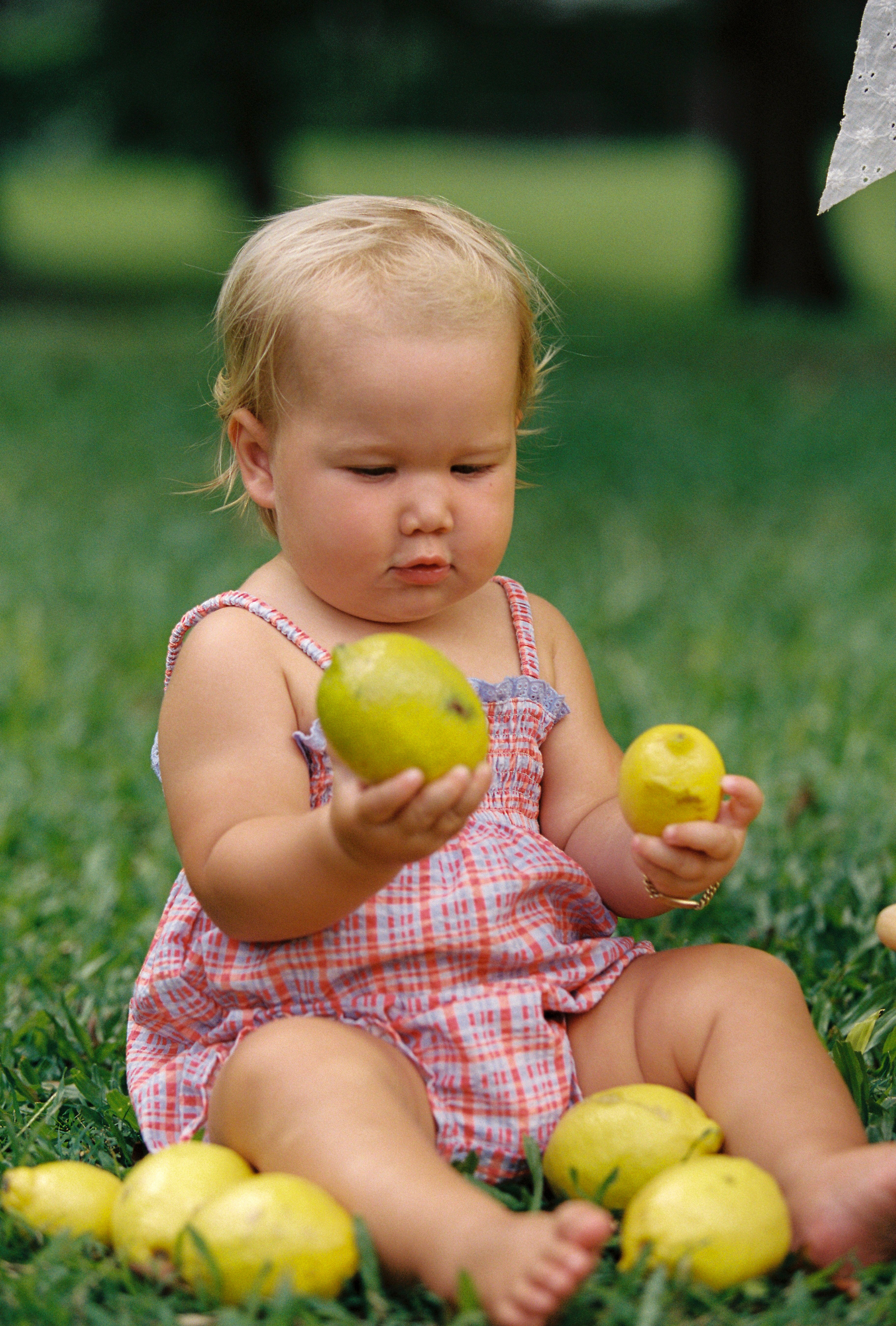 Lottie Romper Picnic Check