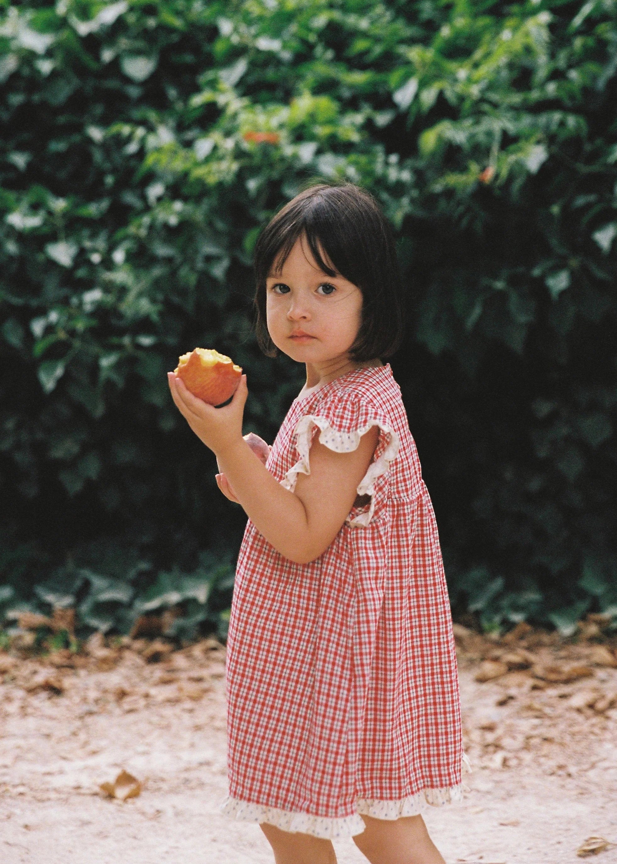 Daisy Dress Red Check