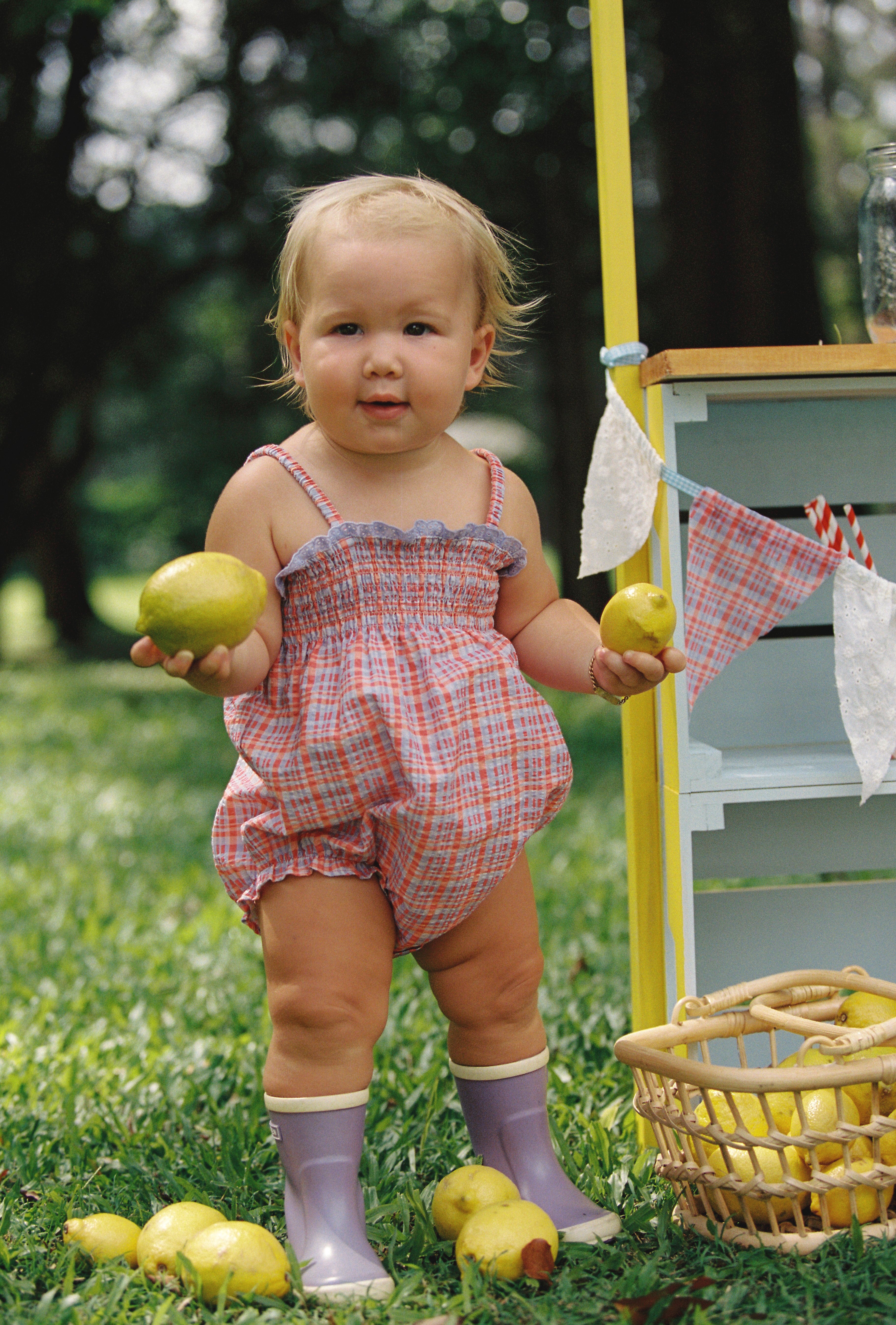 Lottie Romper Picnic Check