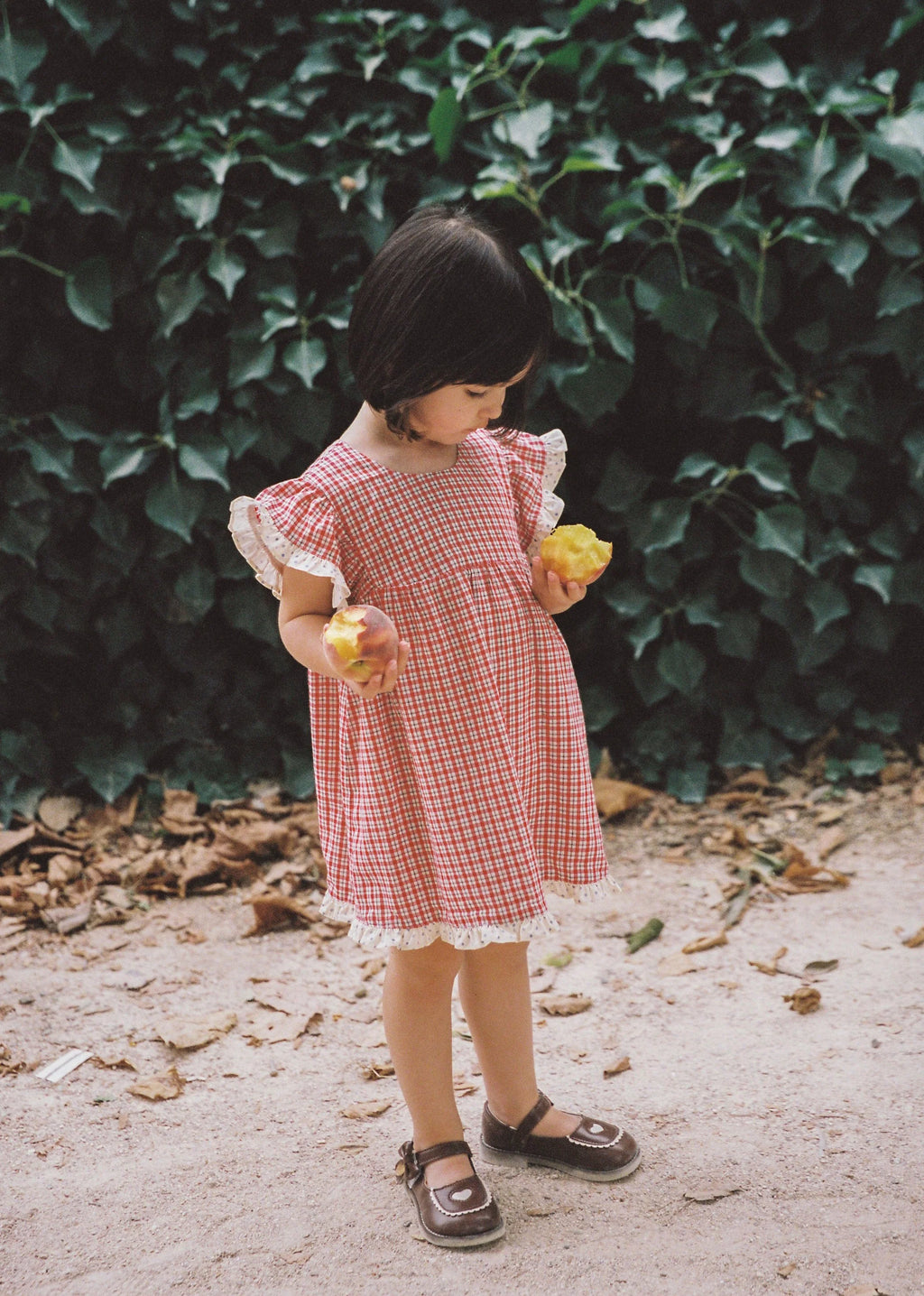 Daisy Dress Red Check