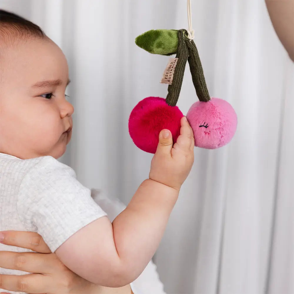 Pineapple & Cherries Stroller Toys