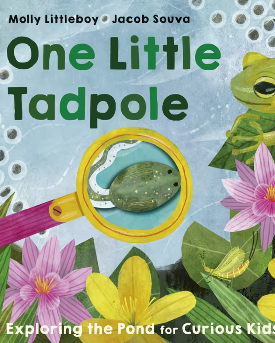 One Little Tadpole