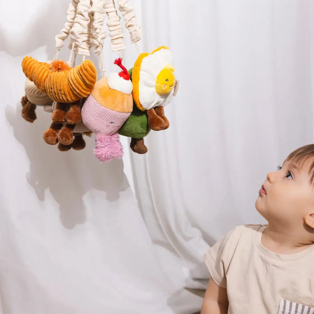 Avocado & Egg Stroller Toys