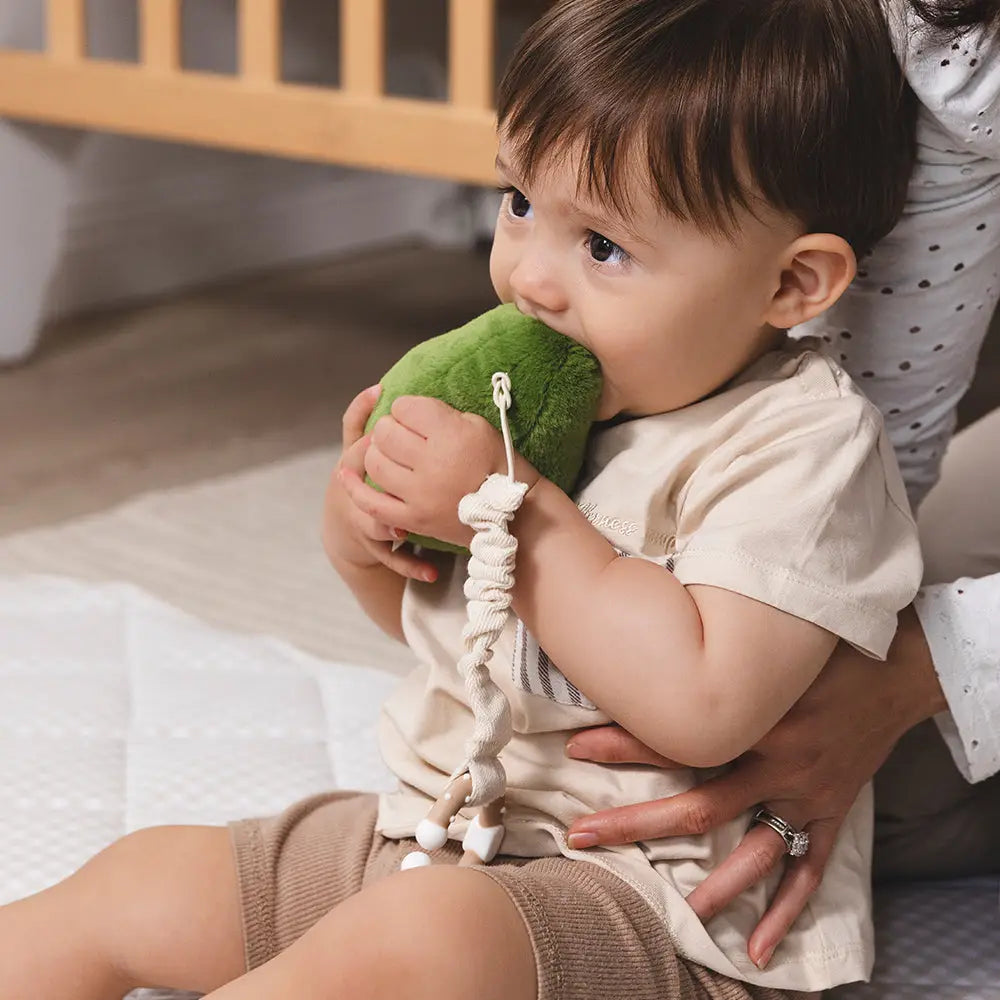 Avocado & Egg Stroller Toys