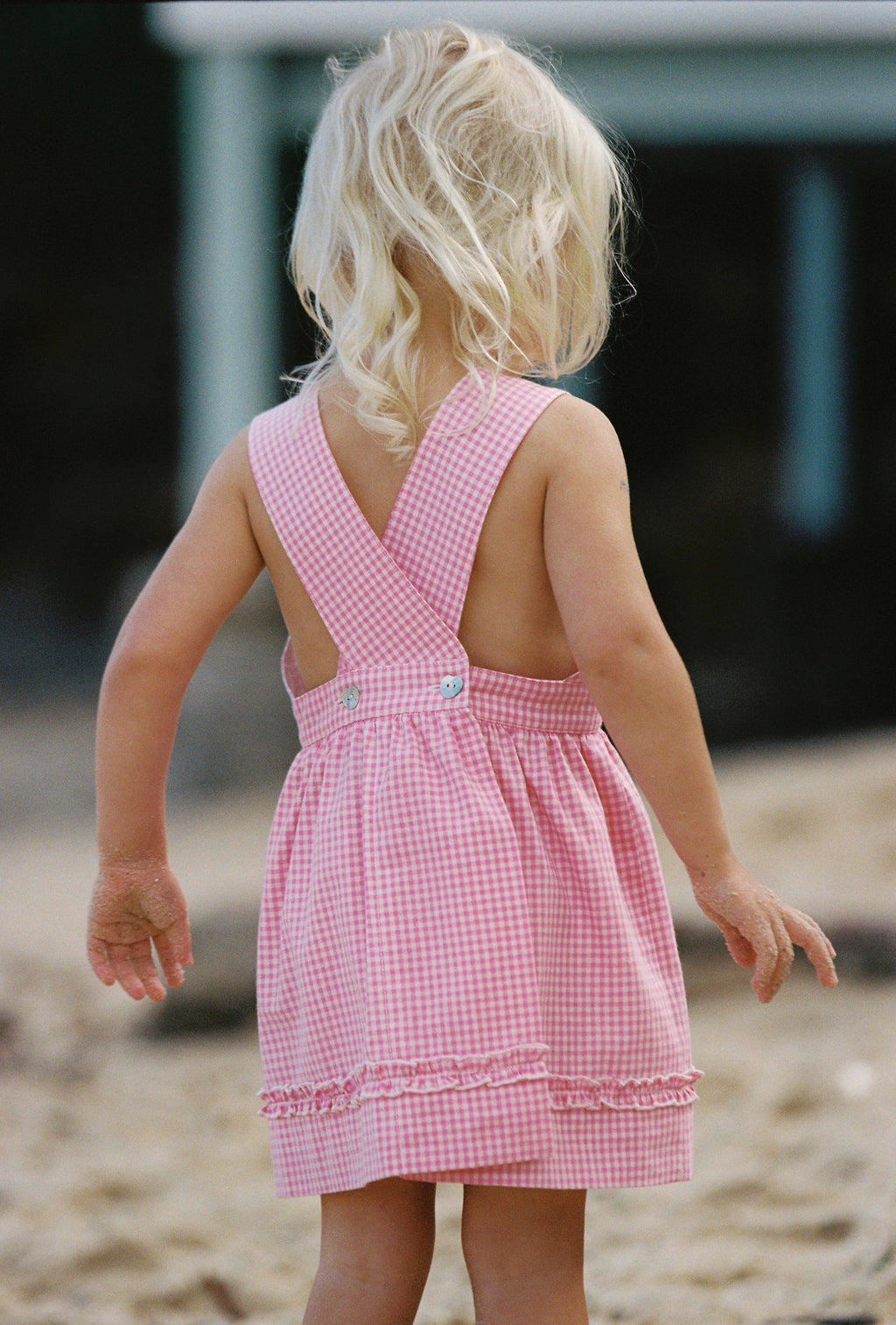Coco Dress Strawberry Gingham
