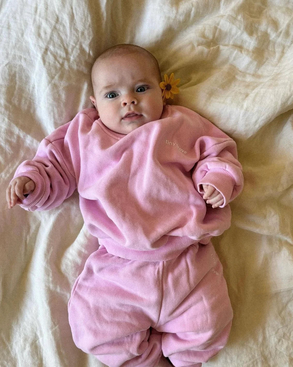 Woodie Logo Tracksuit Flamingo