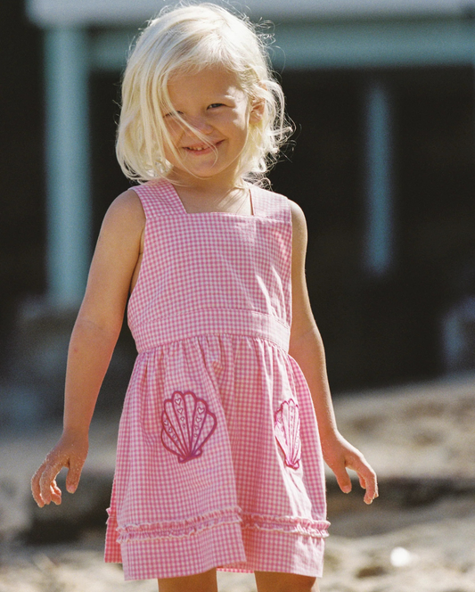 Coco Dress Strawberry Gingham