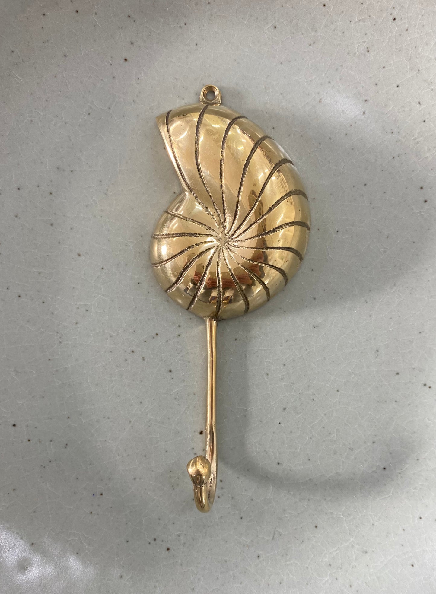 Brass Sea Shell Wall Hook