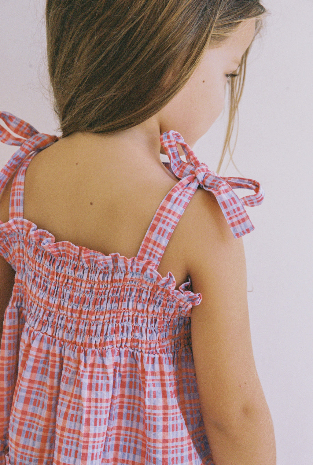 Belle Dress Picnic Check