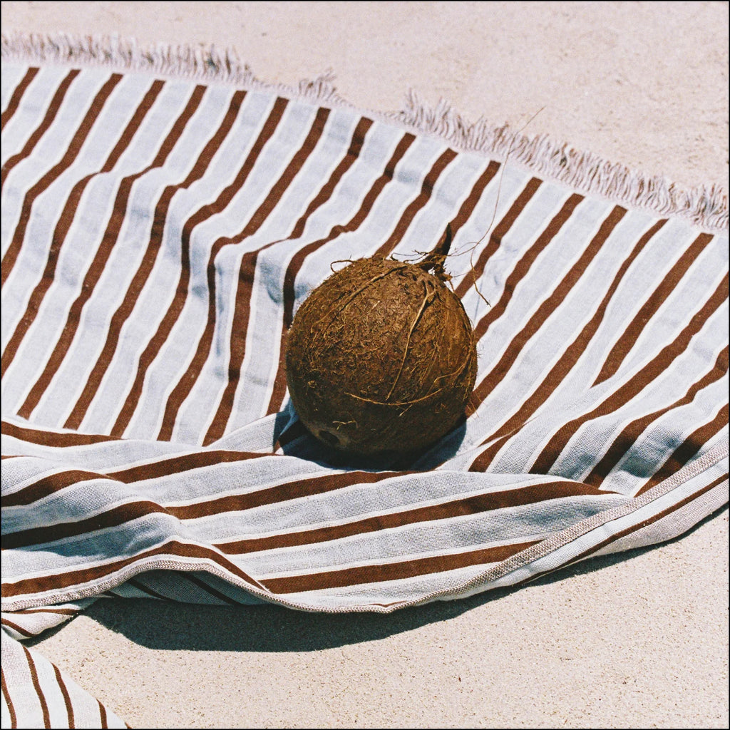 Laguna Sky Blue & Mocha Towel