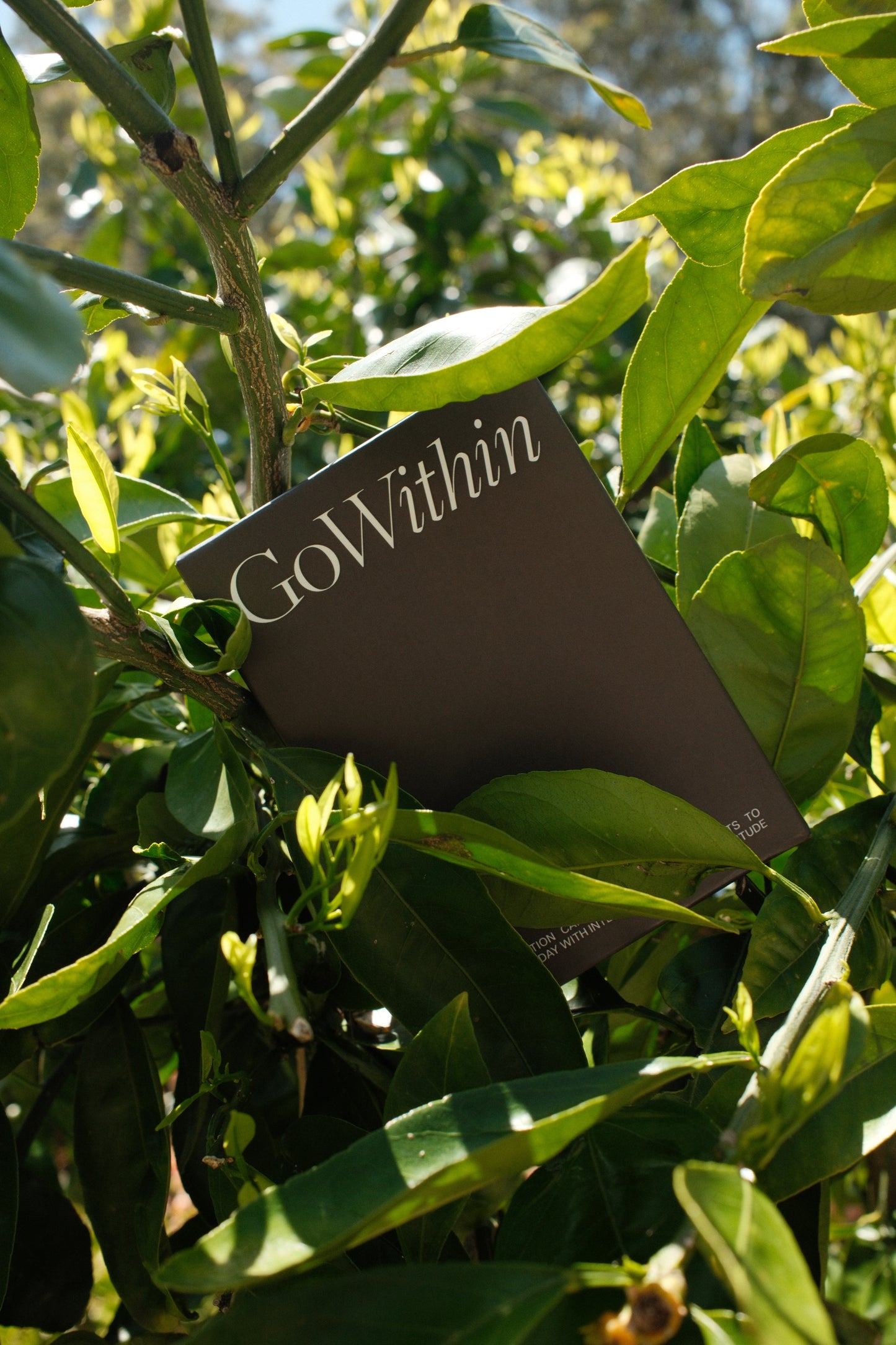 Go Within Affirmation Cards