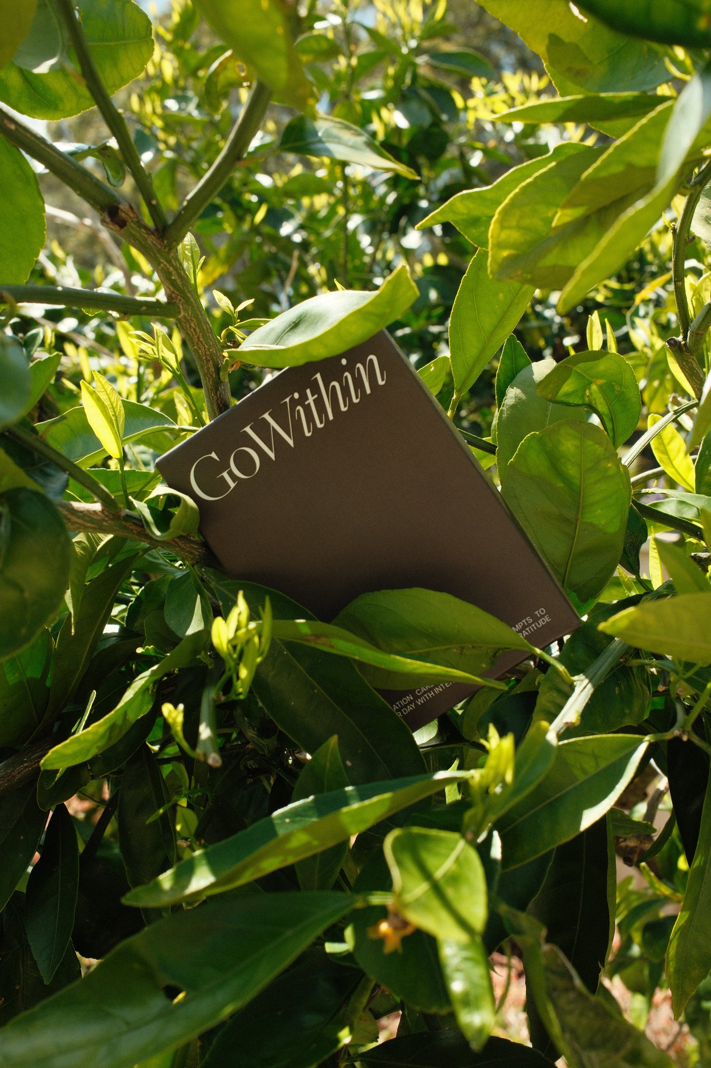 Go Within Affirmation Cards