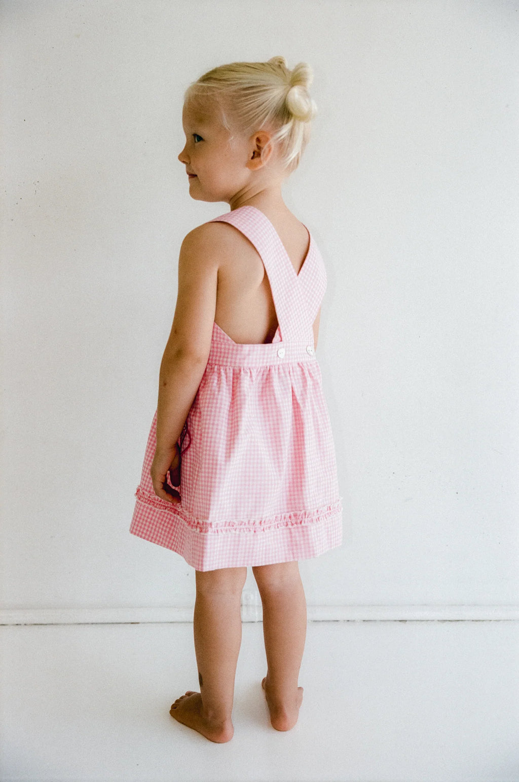 Coco Dress Strawberry Gingham