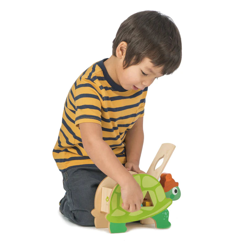 Wooden Tortoise Shape Sorter