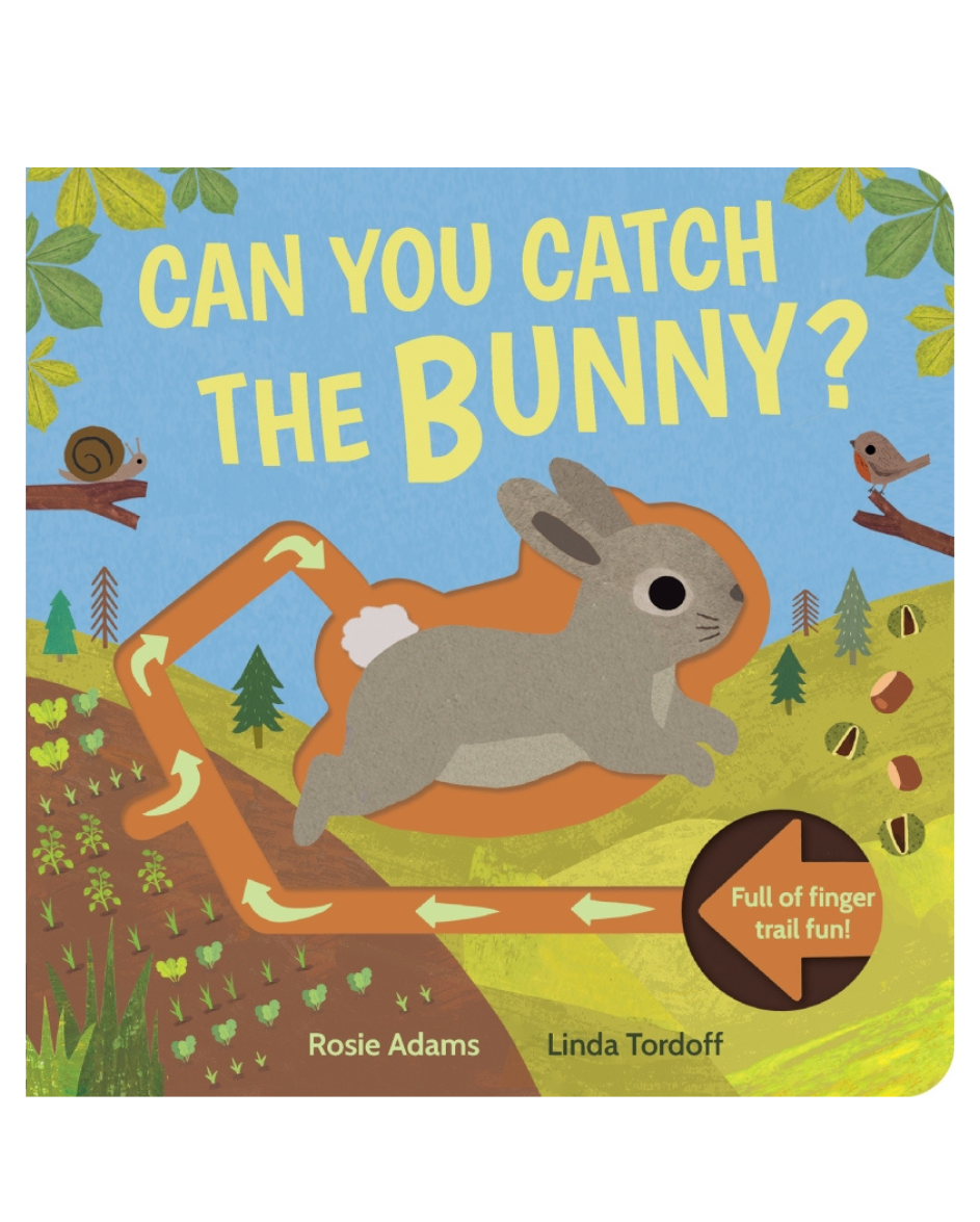 Can You Catch The Bunny