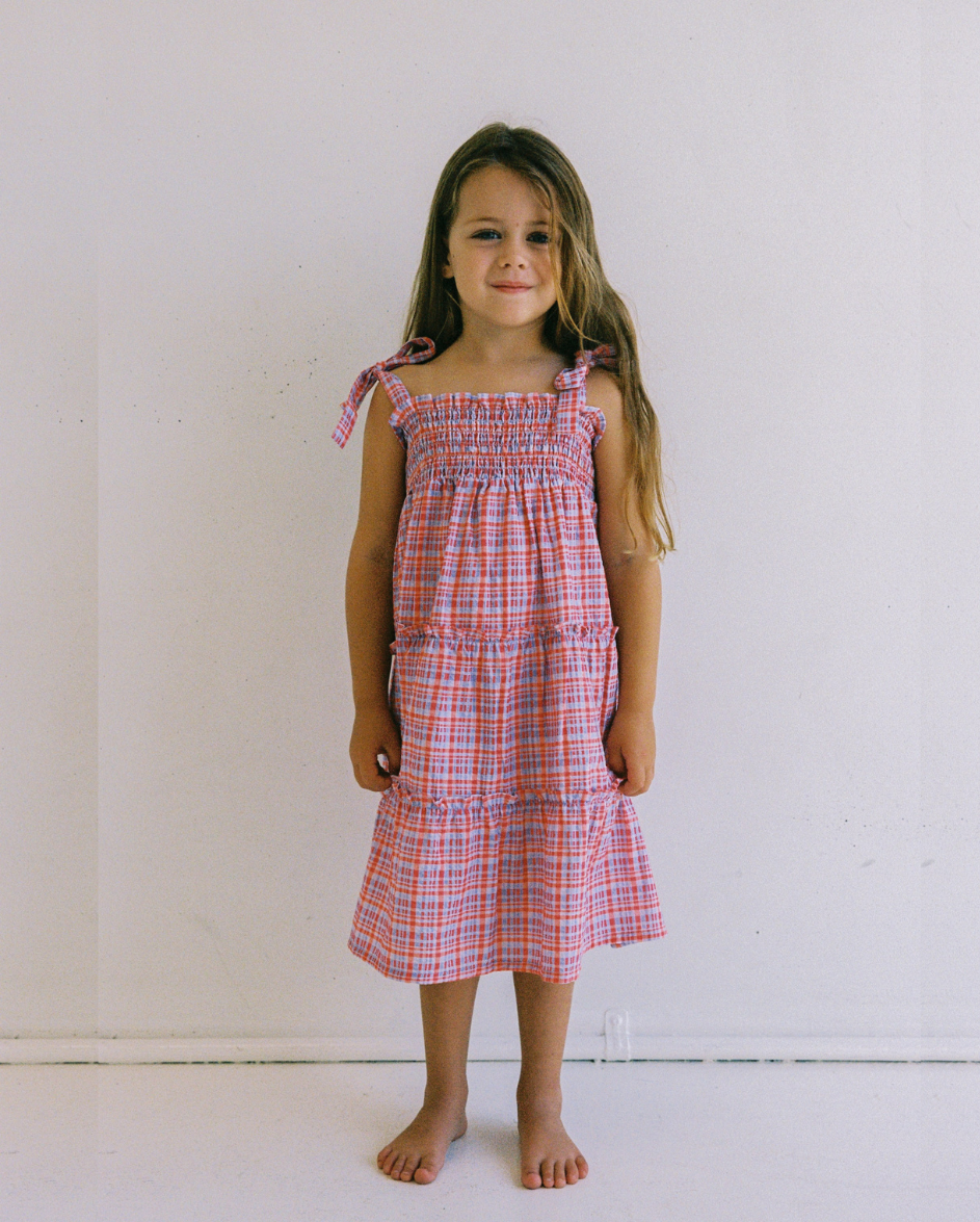 Belle Dress Picnic Check
