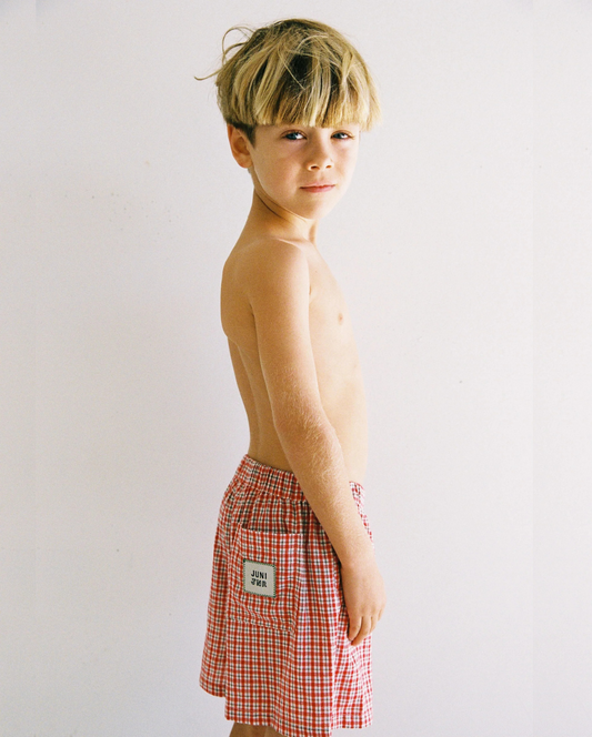 Banjo Shorts Red Check
