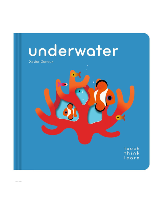 Touch Think Learn Underwater