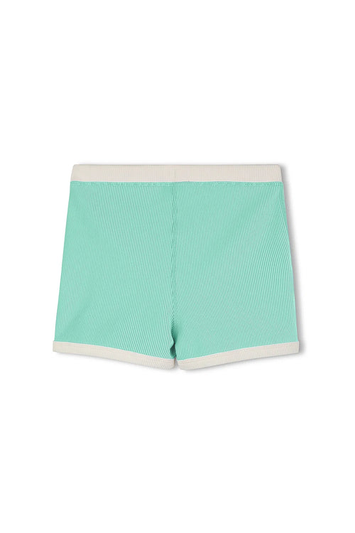 Mini Stripe Surf Short - Aqua