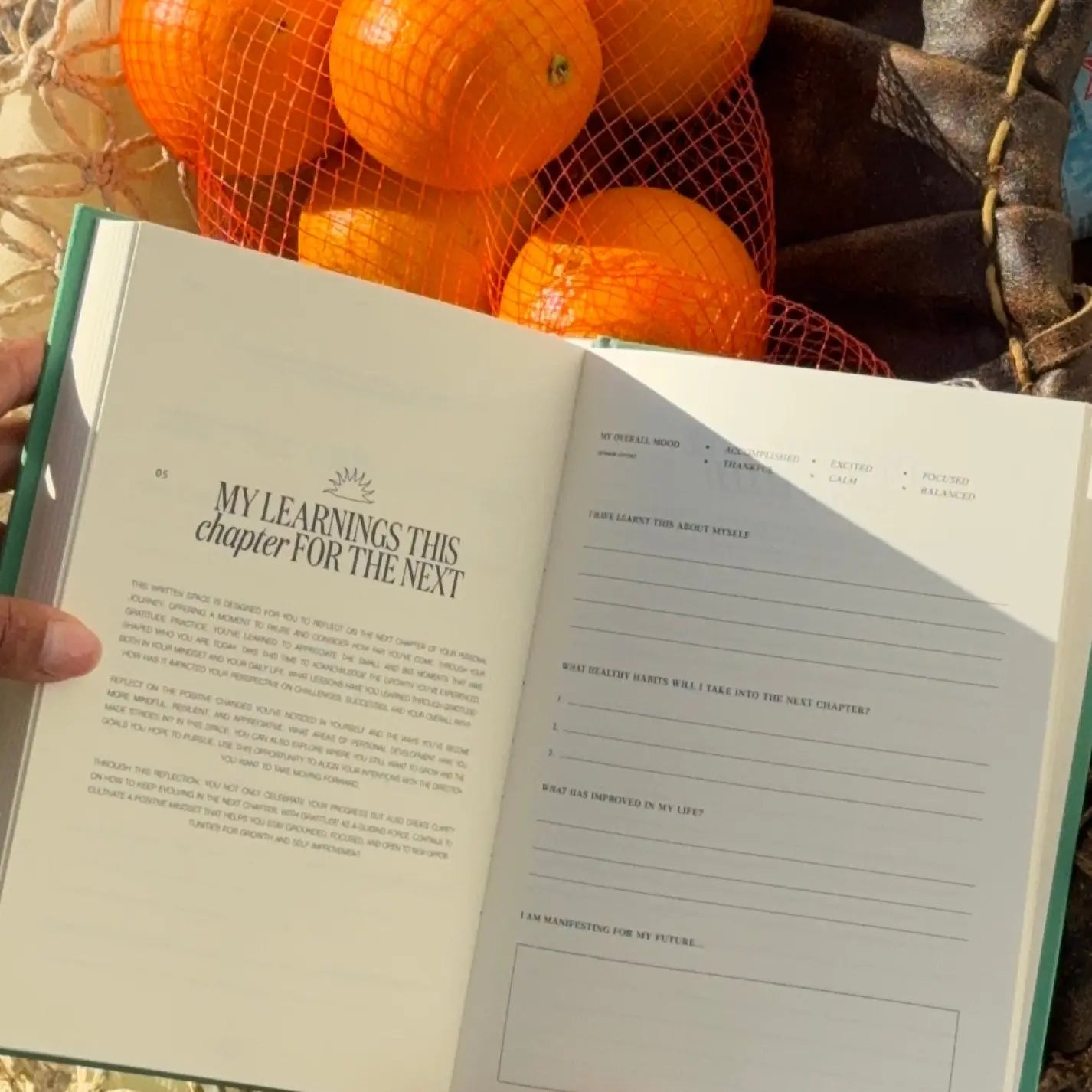 Matcha Gratitude Journal