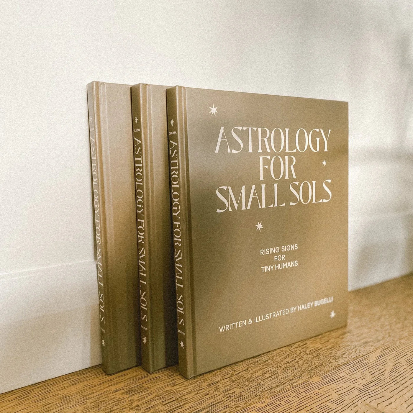 Astrology For Small Sols Book