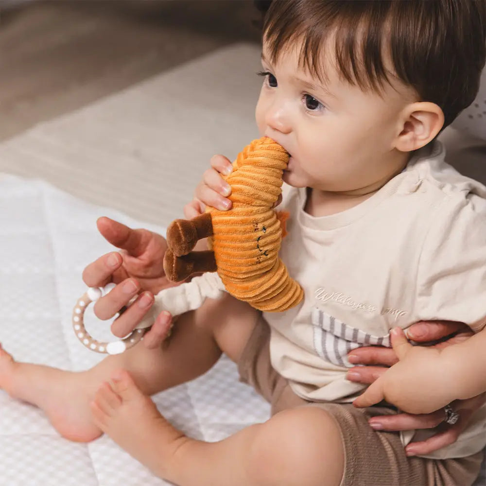 Coffee & Croissant Stroller Toys