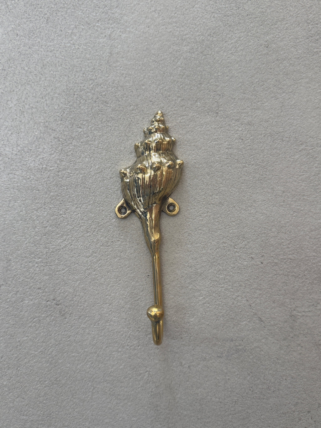 Small Brass Shell Wall Hook