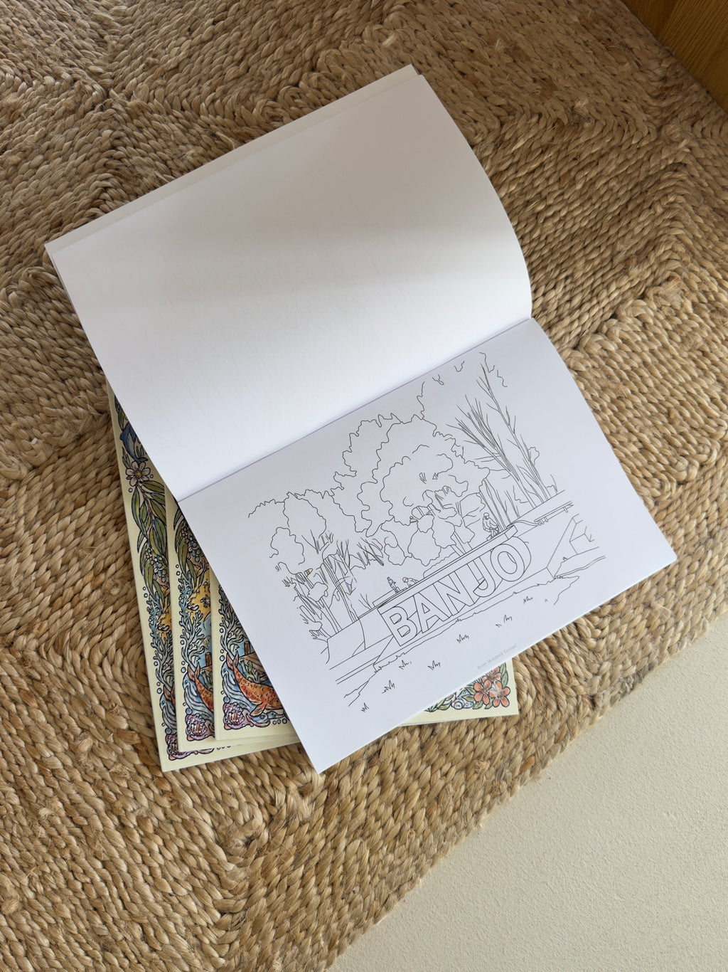 Colour The Central Coast Book