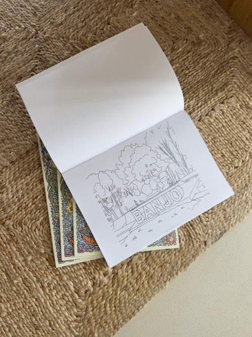 Colour The Central Coast Book