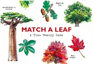 Match a Leaf