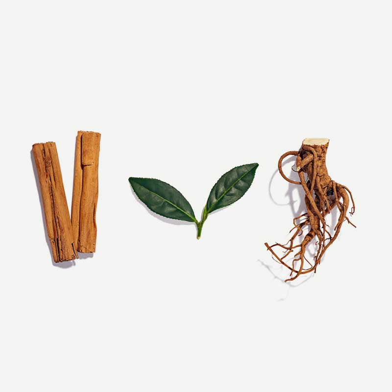 Metabolism Tea Bags